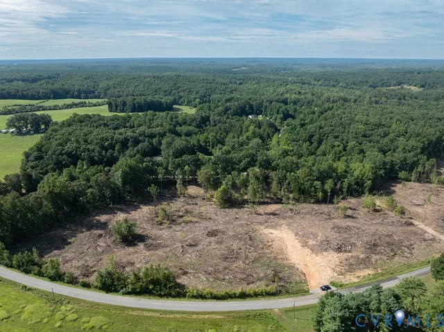 a view of a dry yard with green space