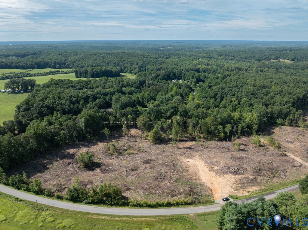 648 Hardtimes Road Farmville, VA 23901 - Photo 32 of 35 a view of a dry yard with green space