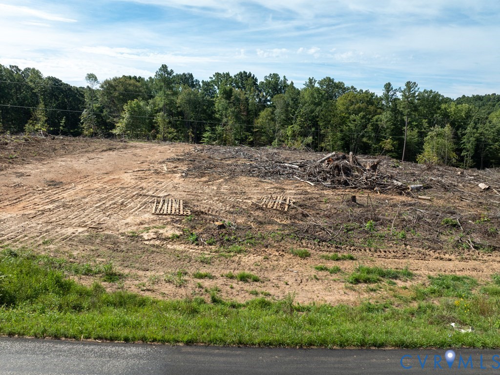 648 Hardtimes Road Farmville, VA 23901 - Photo 5 of 35 a view of a dry yard with trees in the background