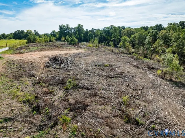 a view of a yard with trees in the background