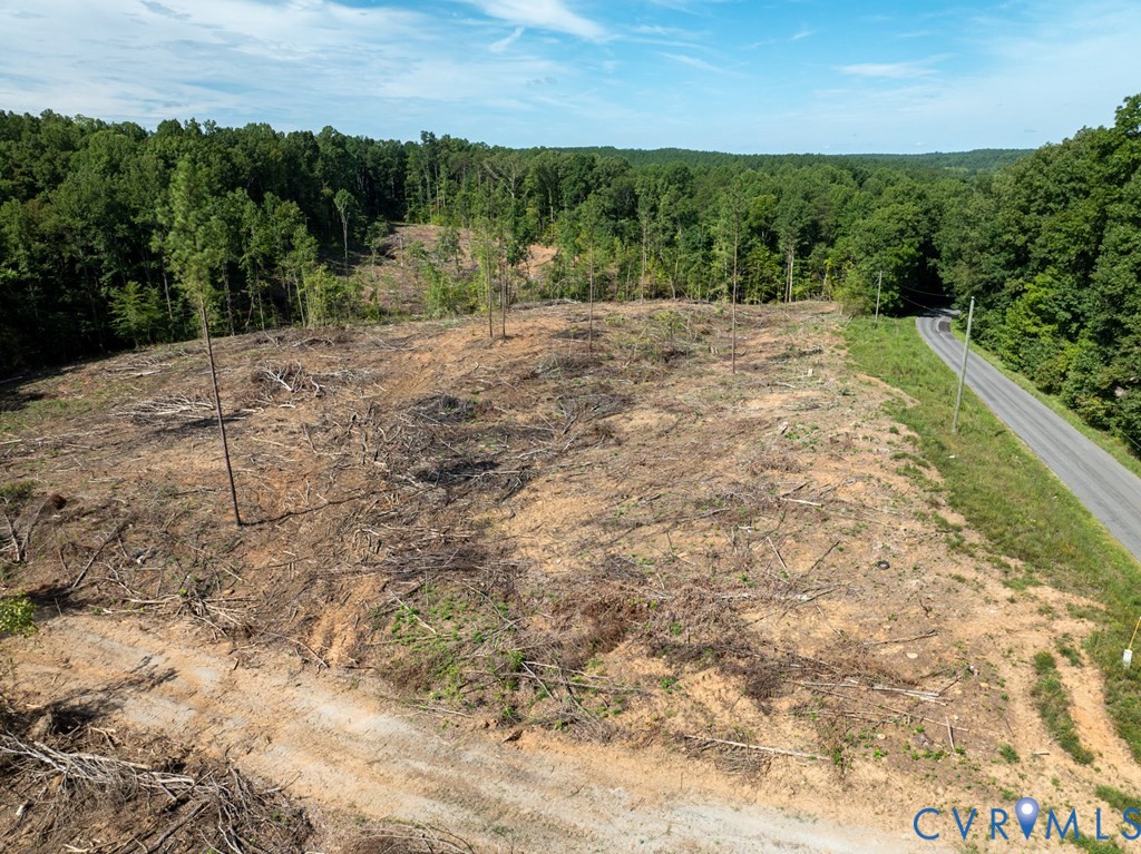 648 Hardtimes Road Farmville, VA 23901 - Photo 10 of 35 a view of a yard with trees in the background