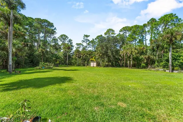 a view of green field