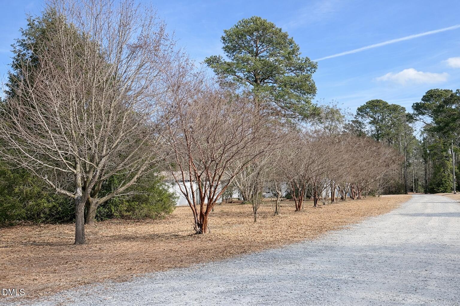 829 Shaw's Pond Road Four Oaks, NC 27524 - Photo 16 of 30 a view of road and trees