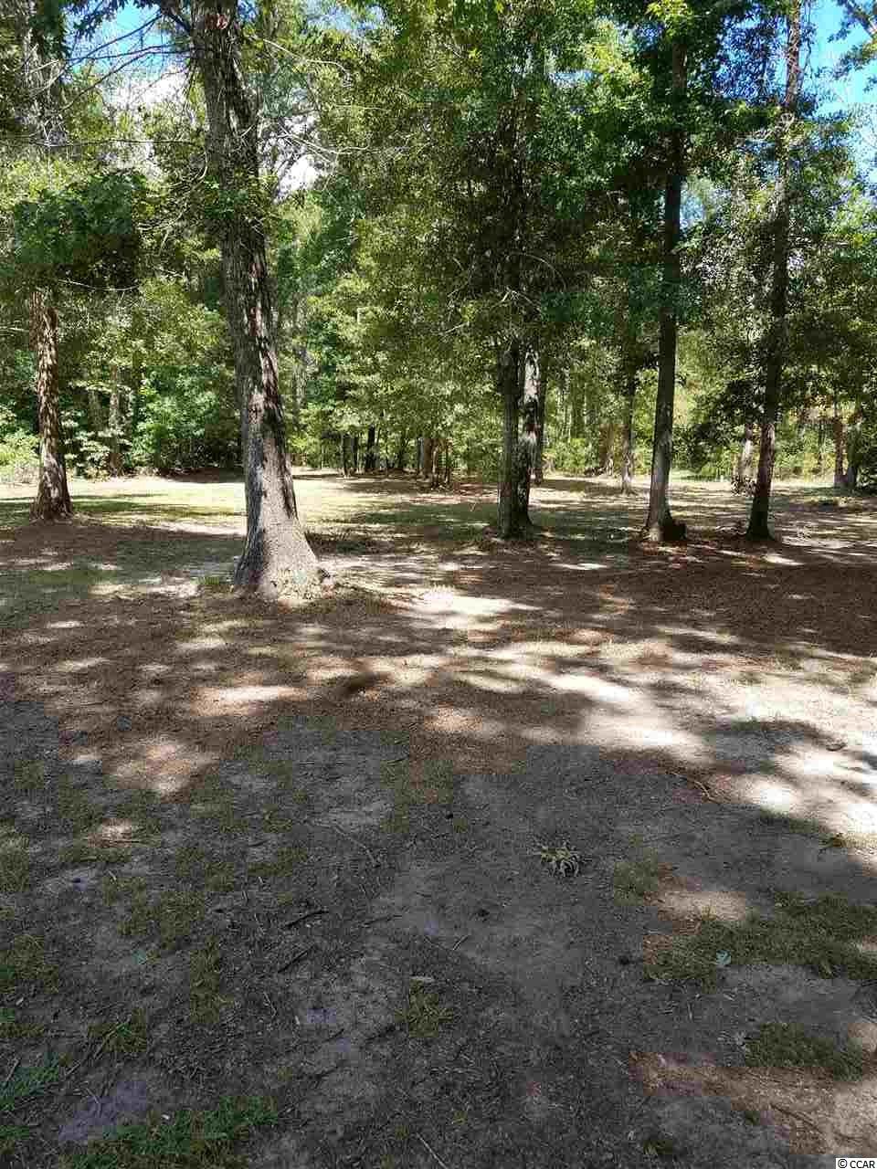 376 Ellis Landing Road Georgetown, SC 29440 - Photo 2 of 28 Gallery Image 2