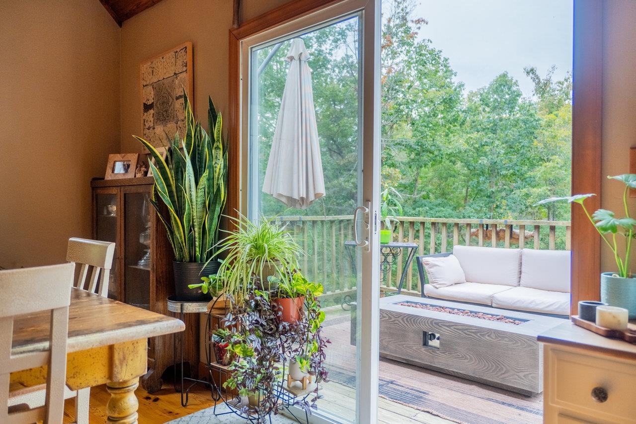 4679 Mountain Farm Road Elkton, VA 22827 - Photo 16 of 75