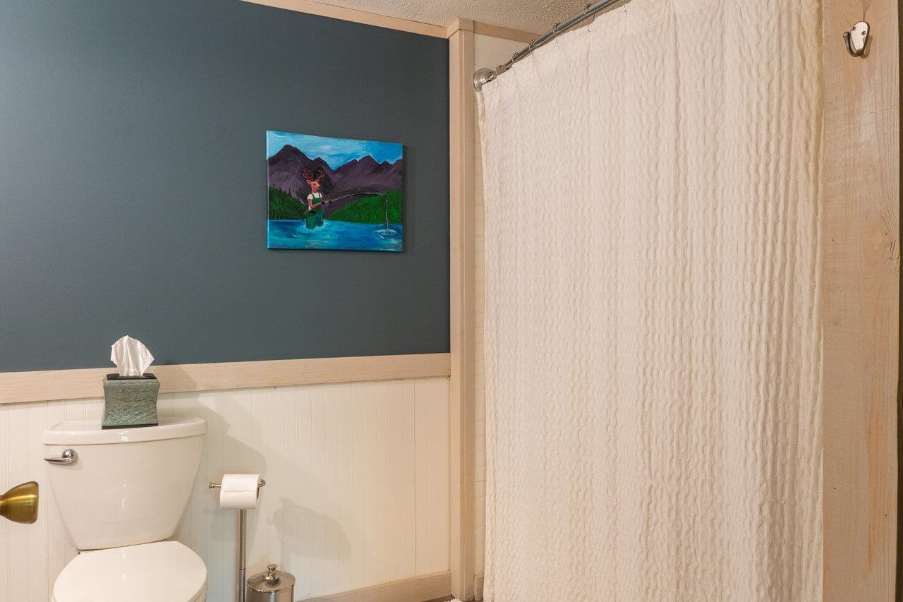 4679 Mountain Farm Road Elkton, VA 22827 - Photo 36 of 75