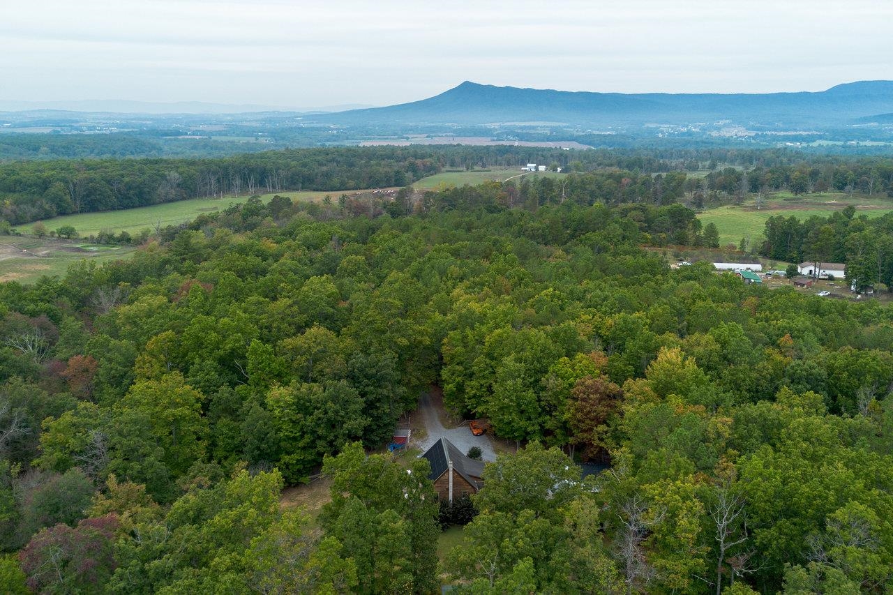 4679 Mountain Farm Road Elkton, VA 22827 - Photo 39 of 75