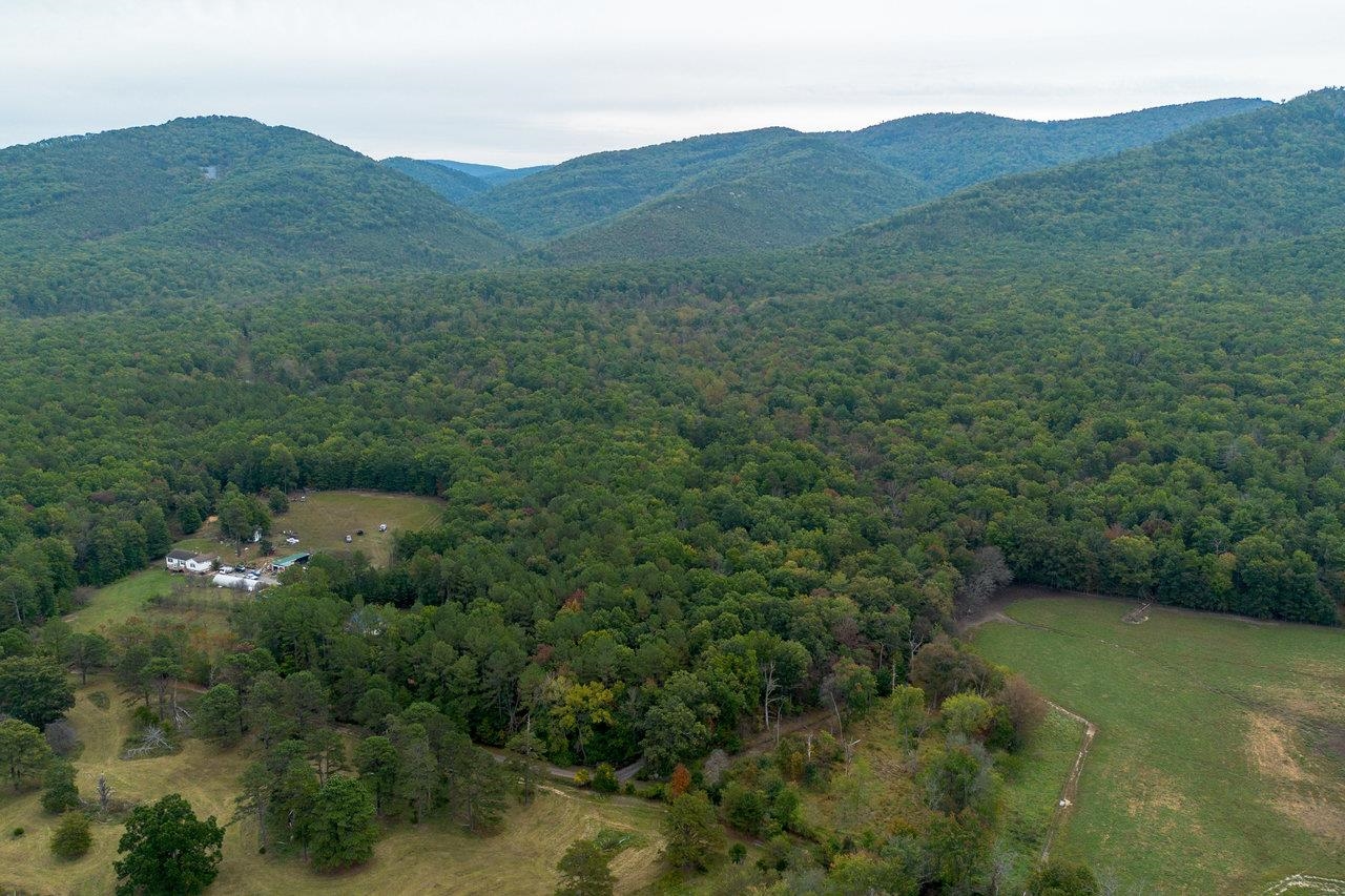 4679 Mountain Farm Road Elkton, VA 22827 - Photo 41 of 75
