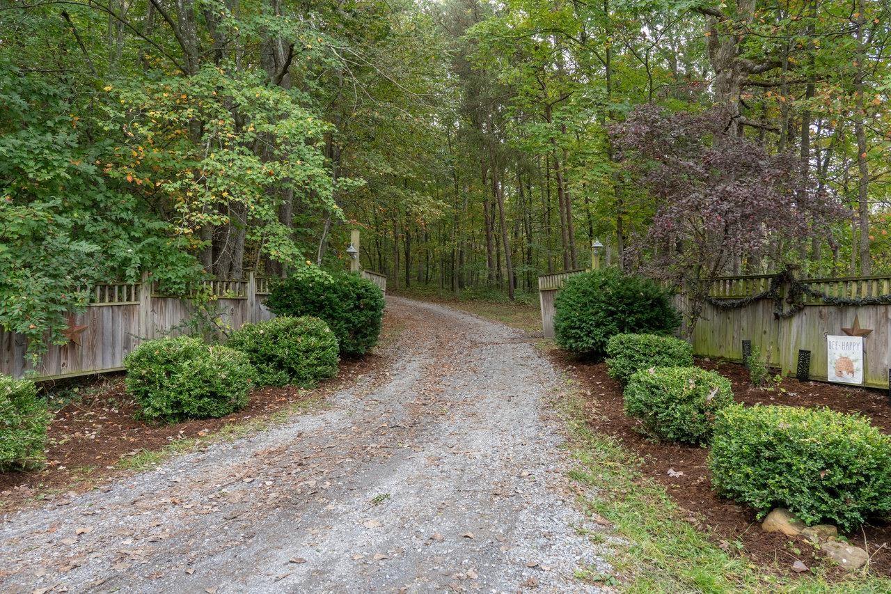 4679 Mountain Farm Road Elkton, VA 22827 - Photo 58 of 75