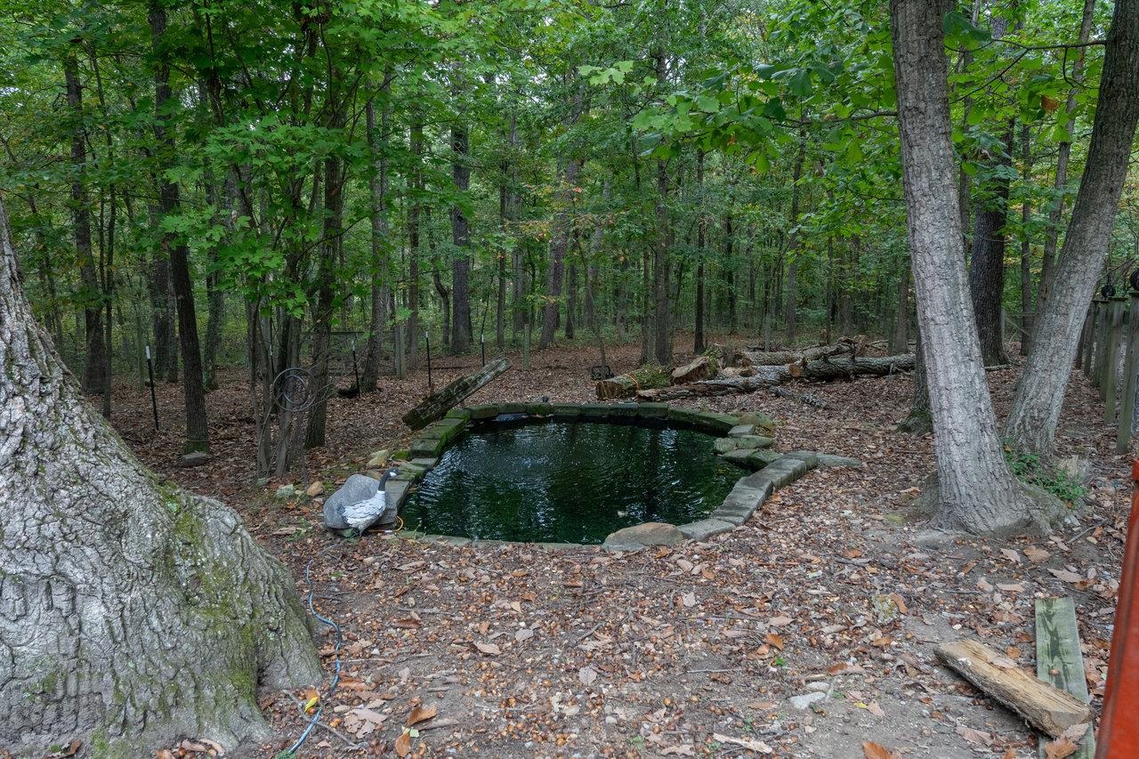 4679 Mountain Farm Road Elkton, VA 22827 - Photo 69 of 75