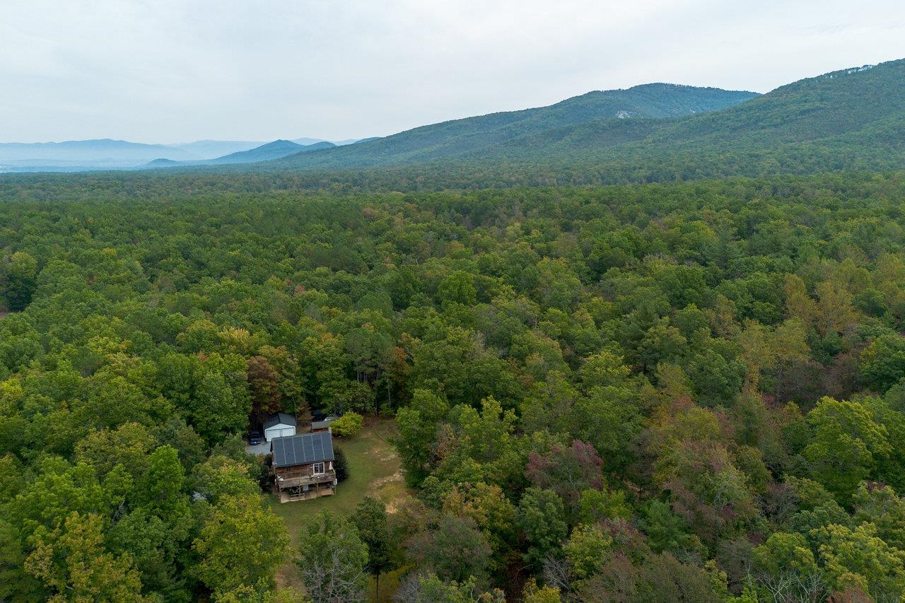 4679 Mountain Farm Road Elkton, VA 22827 - Photo 73 of 75