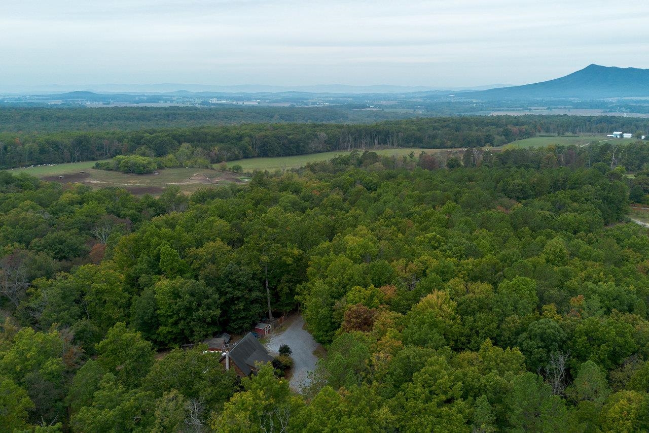 4679 Mountain Farm Road Elkton, VA 22827 - Photo 74 of 75