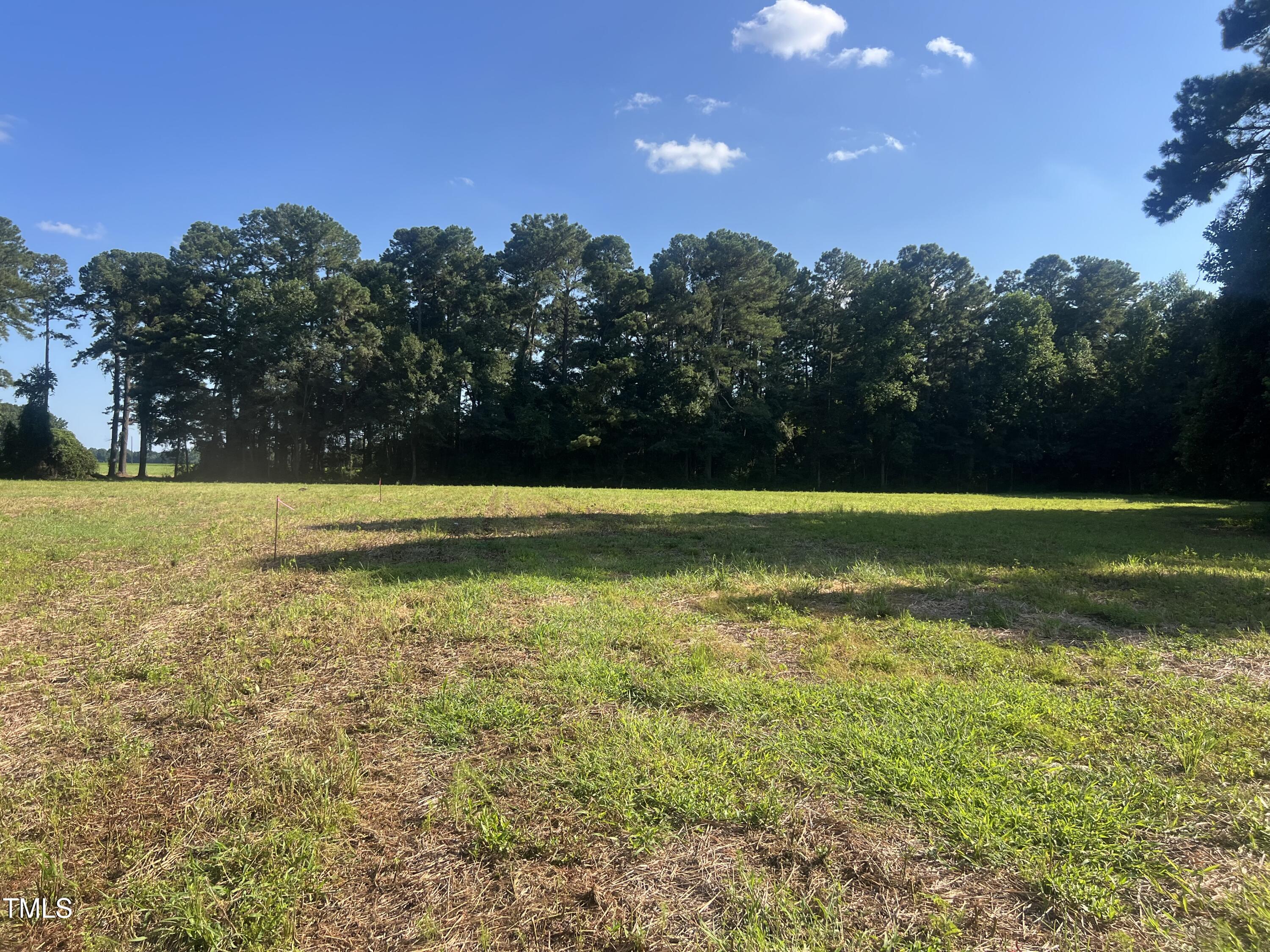 220 Brinkley Road Dunn, NC 28334 - Photo 11 of 13 IMG_5202