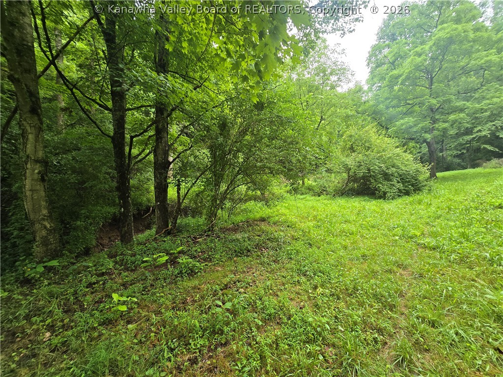 5001 Clay Road Spencer, WV 25276 - Photo 28 of 30 Gallery Image 28