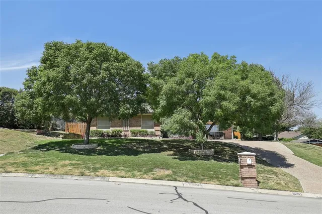 a view of a park with large trees