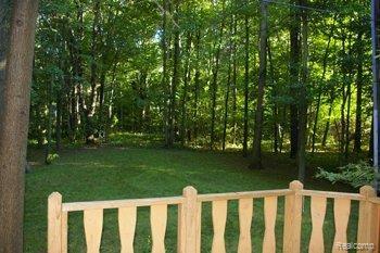 View from Back Deck