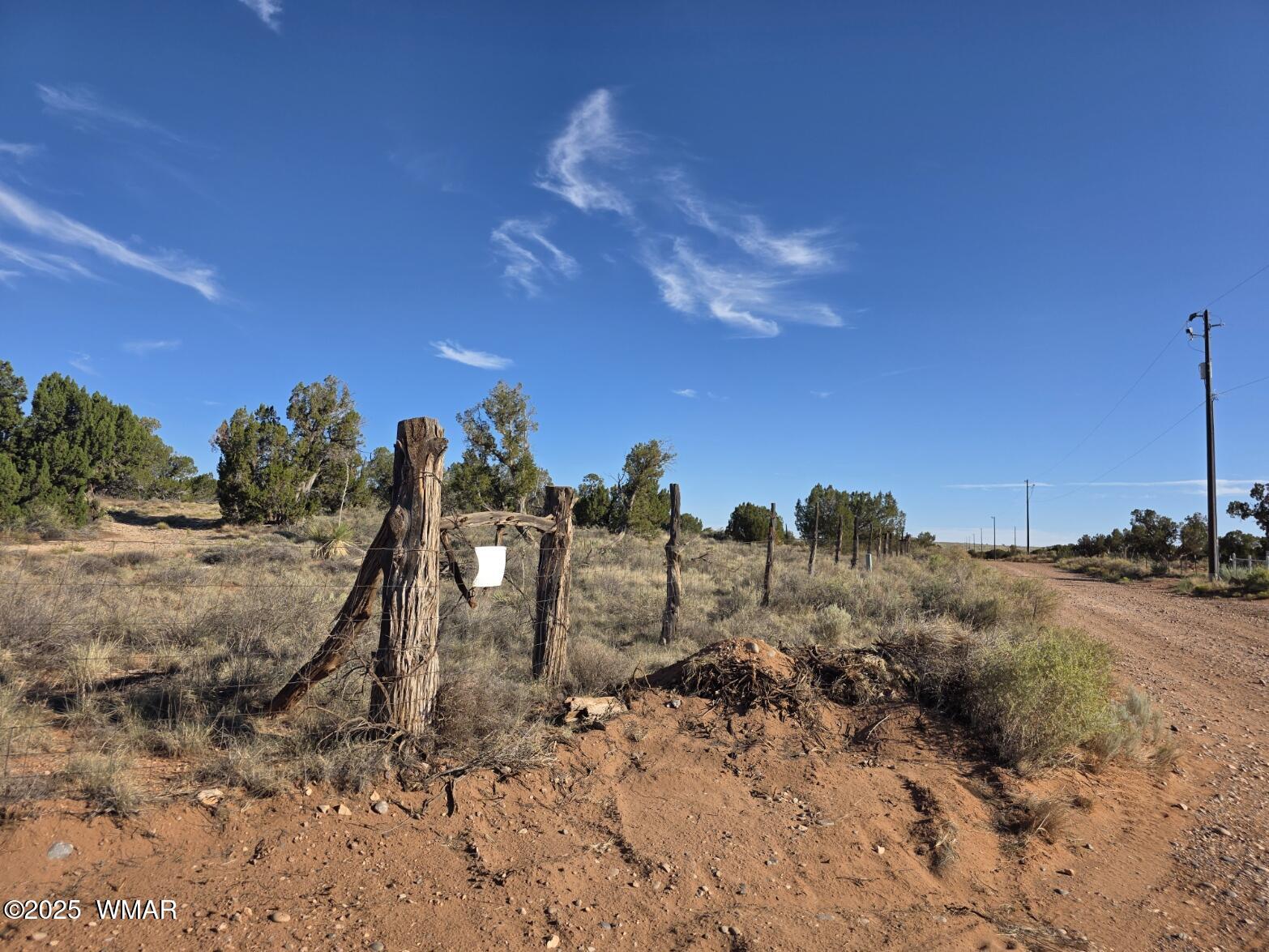 3736 Bum Heel Ranch Road Heber, AZ 85928 - Photo 4 of 46