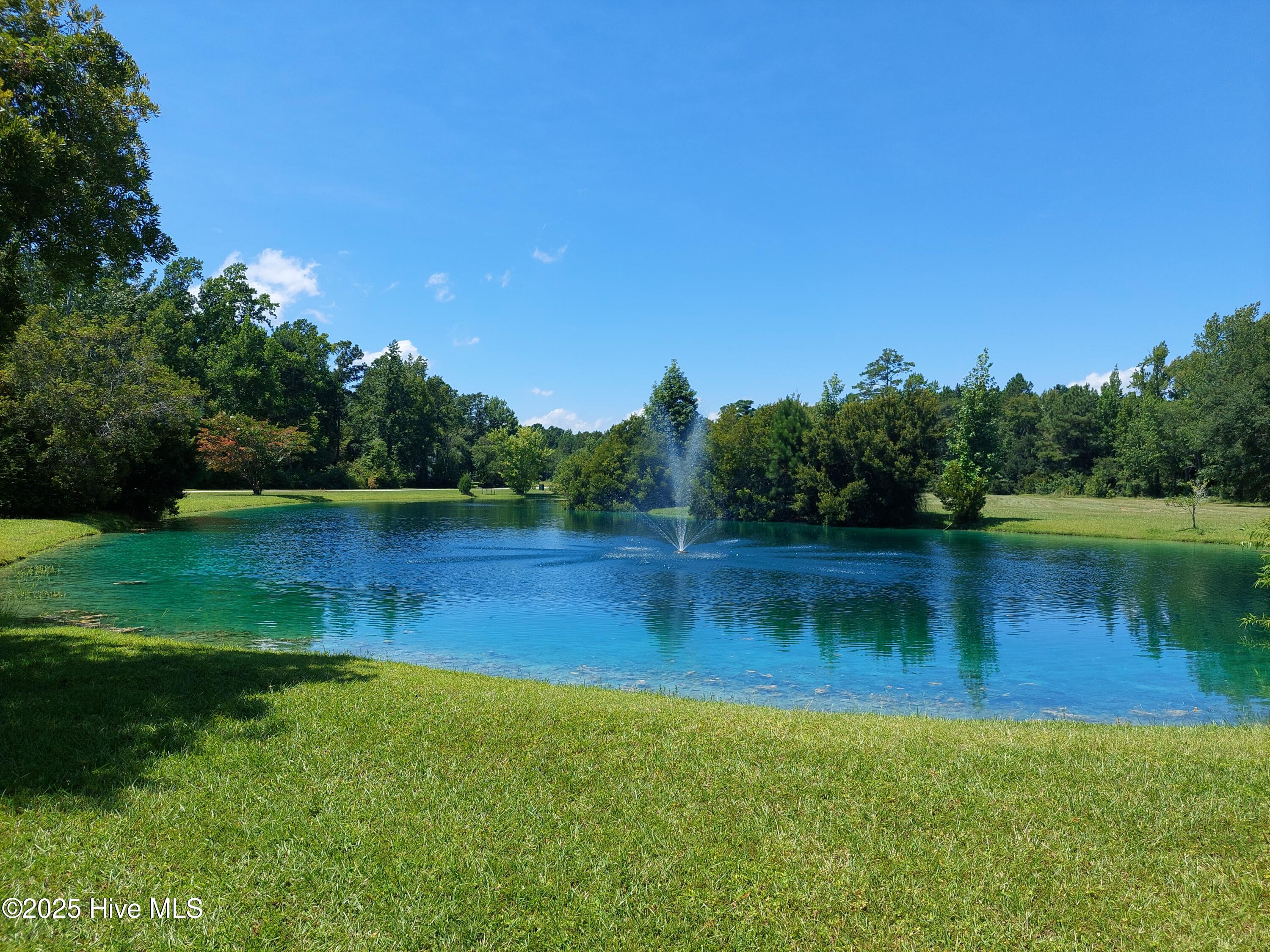 454 Baird Point Road Grantsboro, NC 28529 - Photo 17 of 31 Community Pond