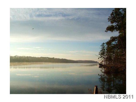 454 Baird Point Road Grantsboro, NC 28529 - Photo 2 of 31 View to the Neuse River from Dock