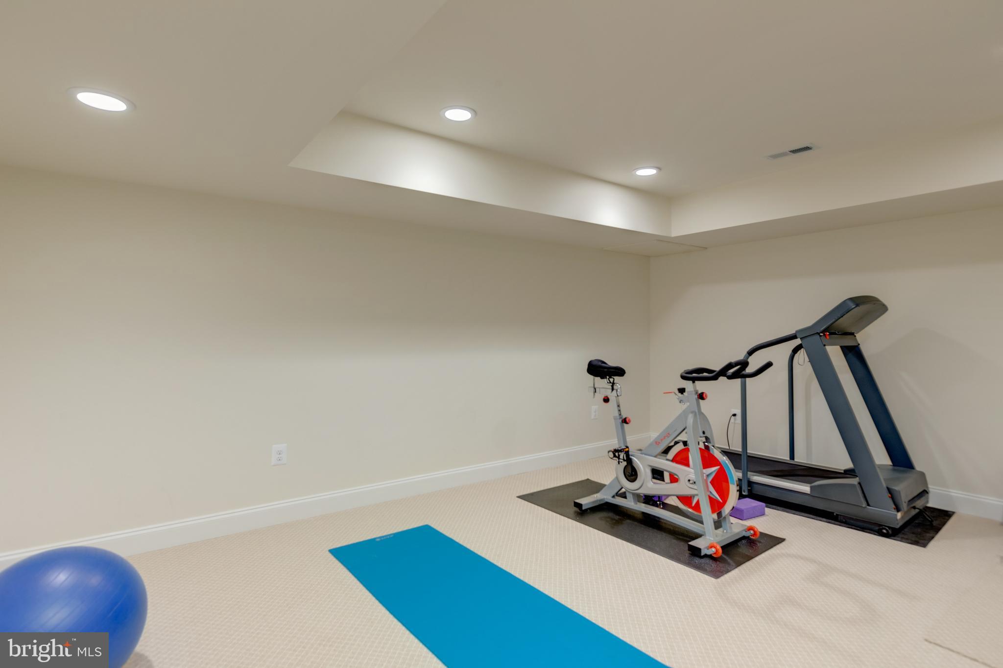 11108 Deville Estates Drive Oakton, VA 22124 - Photo 25 of 47 Lower Level Exercise