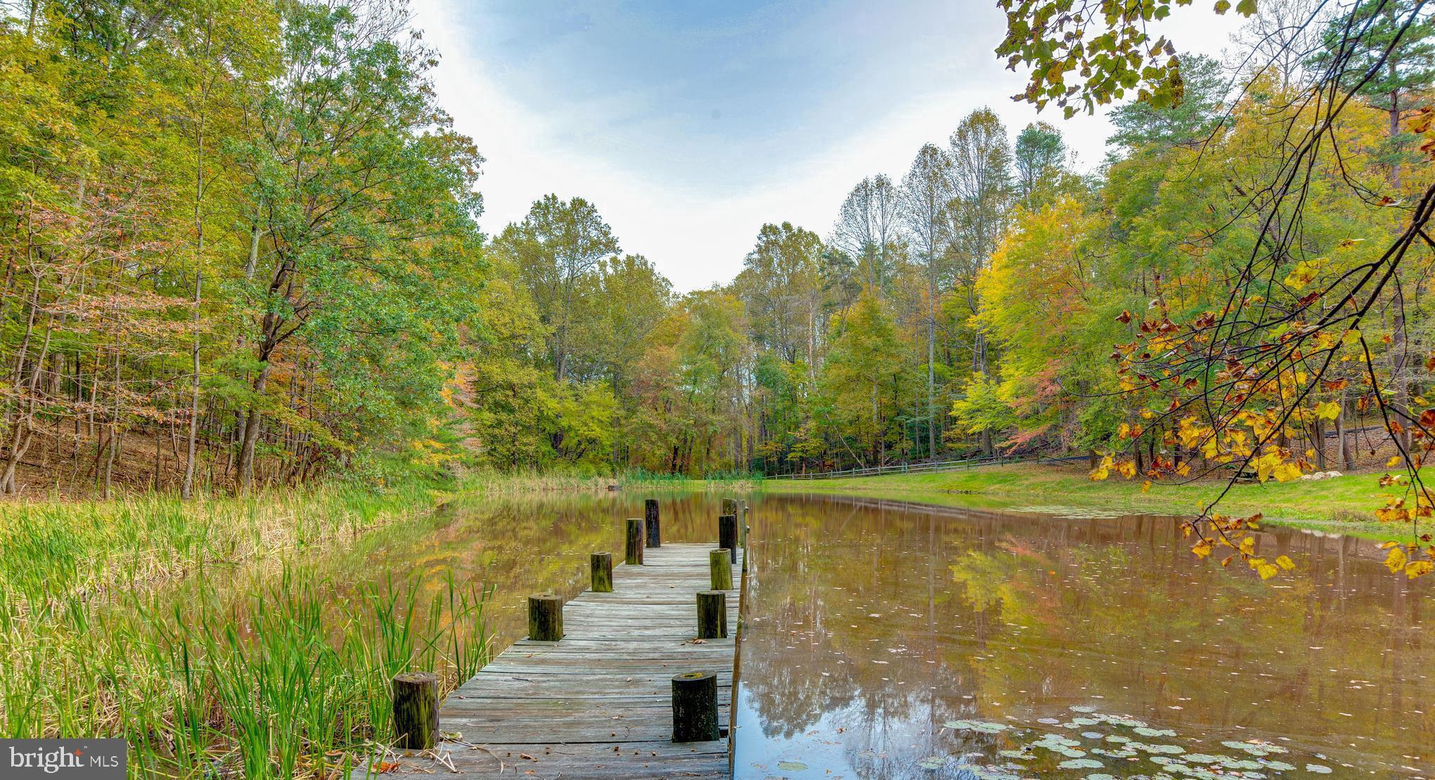 11108 Deville Estates Drive Oakton, VA 22124 - Photo 38 of 47 Community Pond