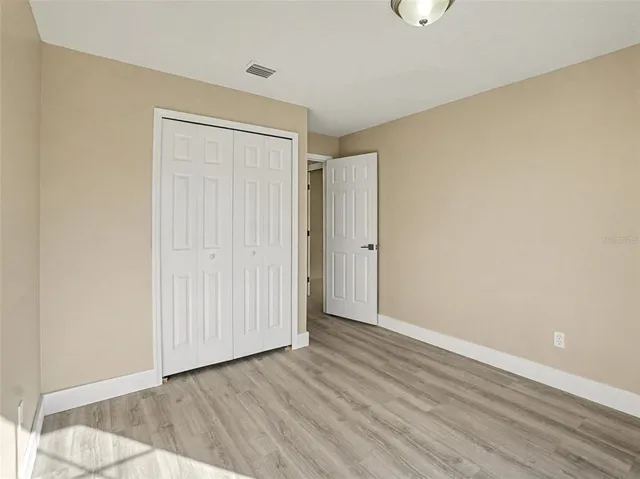 a view of a backyard with plants and palm tree