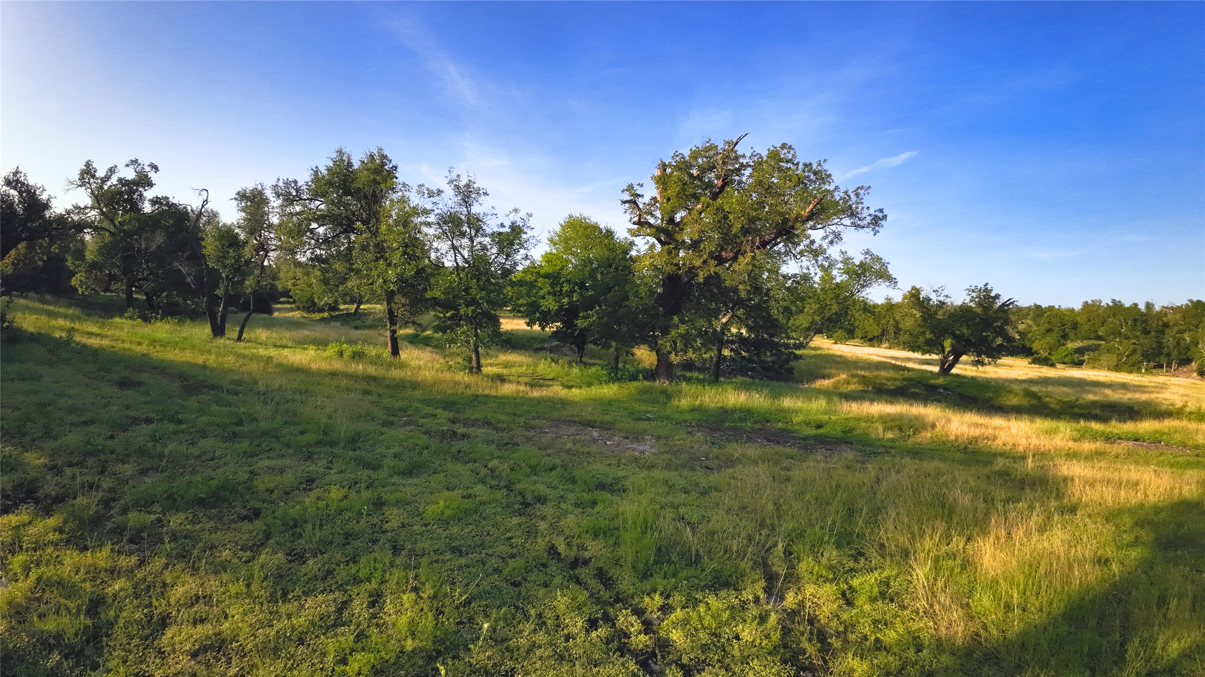 Mature trees dot the rolling grassy meadows of this picturesque countryside acreage.