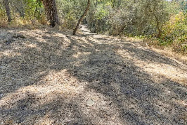 a view of a yard with a tree