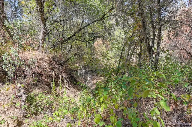 an aerial view of residential house with outdoor space and trees all around