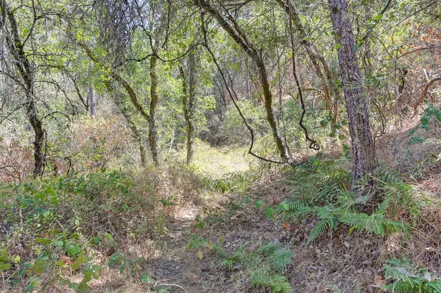 an aerial view of residential house with outdoor space and trees all around