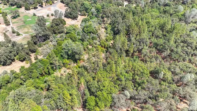 a view of a house with a lush green forest