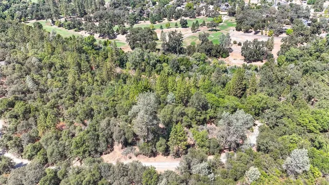a backyard of a house with a tree