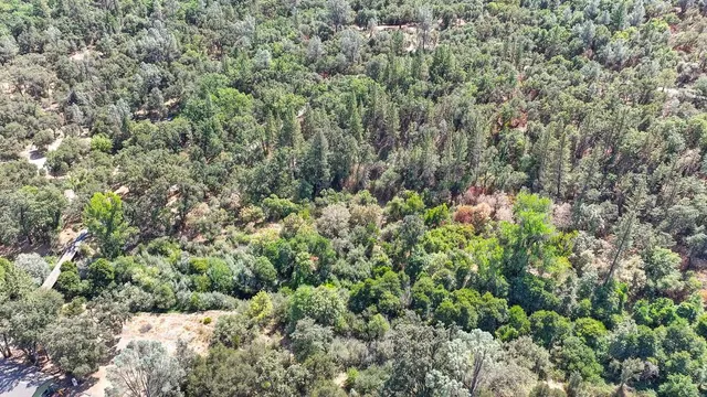 a view of a lush green field with mountains in the background