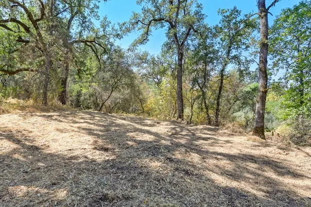 a view of outdoor space and yard