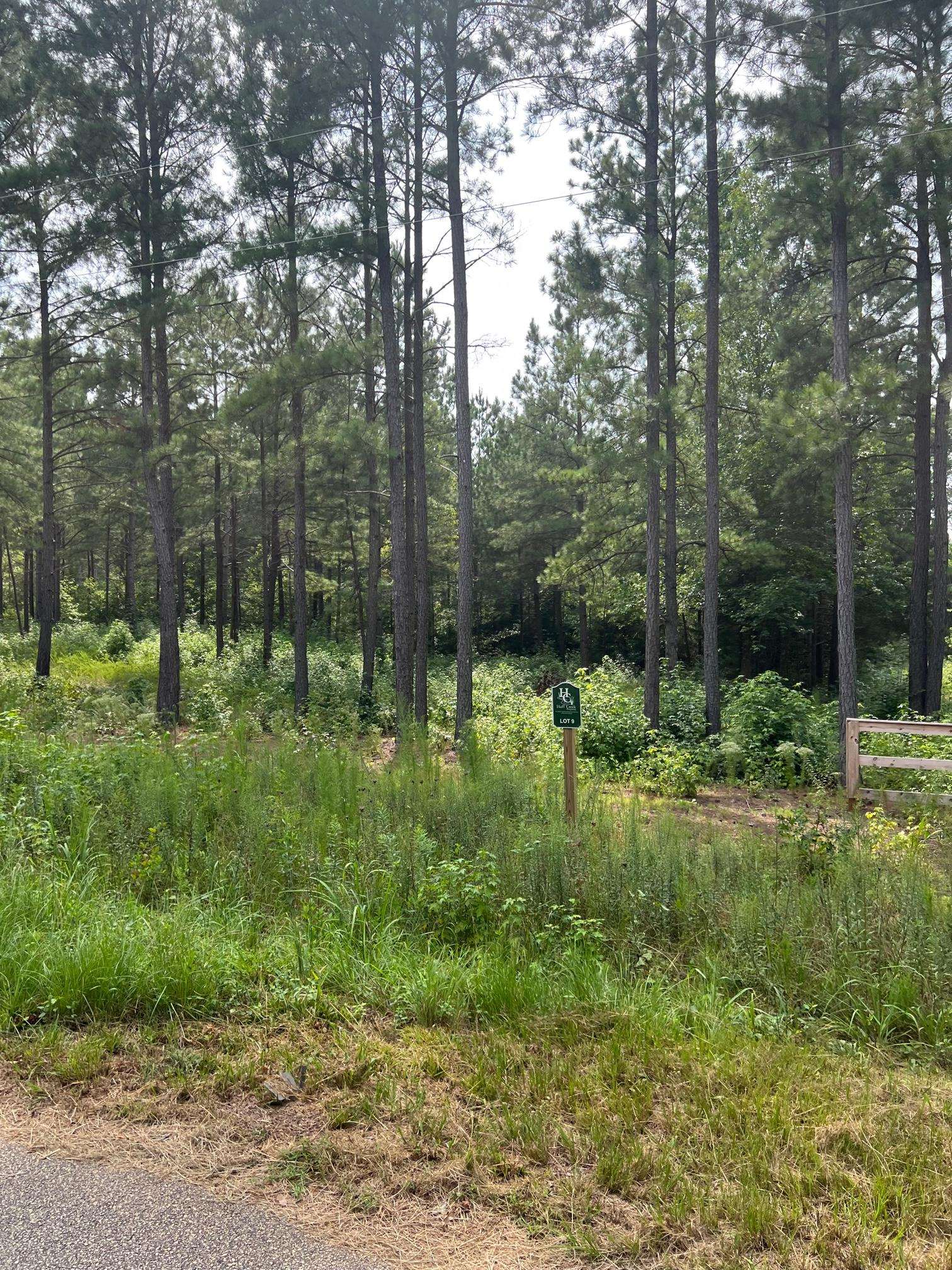 0 Mordeci Mountain Road Gray Court, SC 29645 - Photo 2 of 5