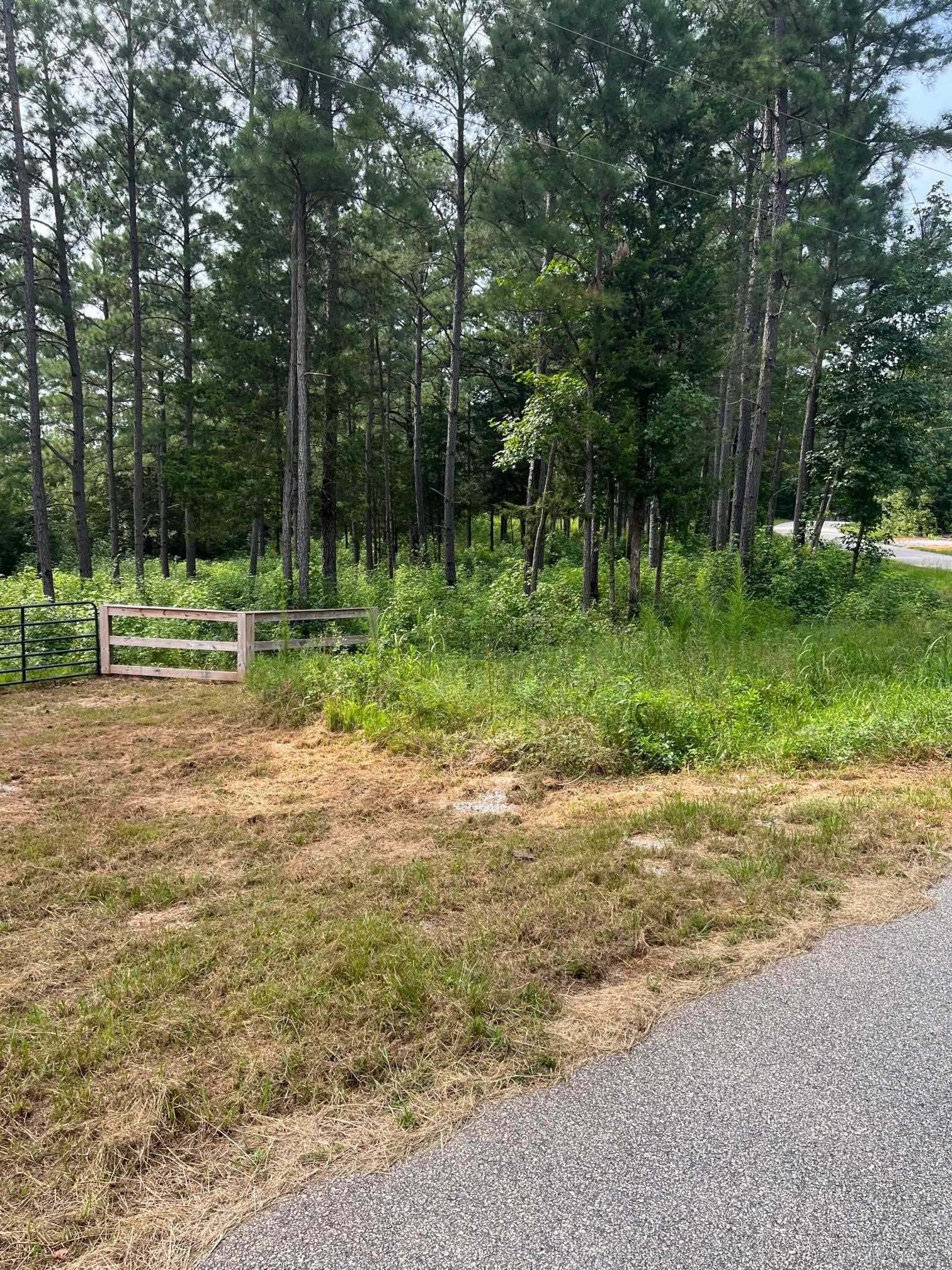 0 Mordeci Mountain Road Gray Court, SC 29645 - Photo 3 of 5