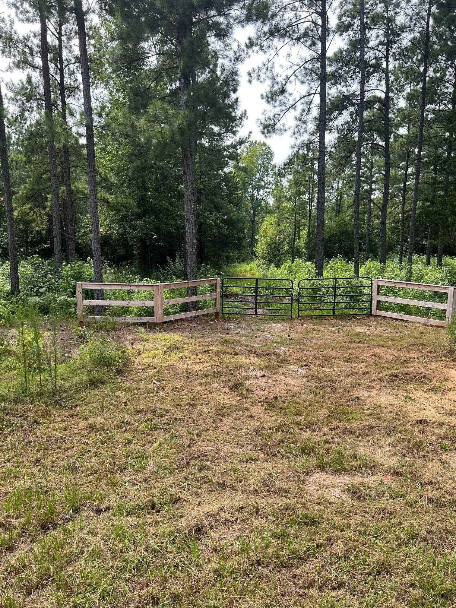 0 Mordeci Mountain Road Gray Court, SC 29645 - Photo 4 of 5