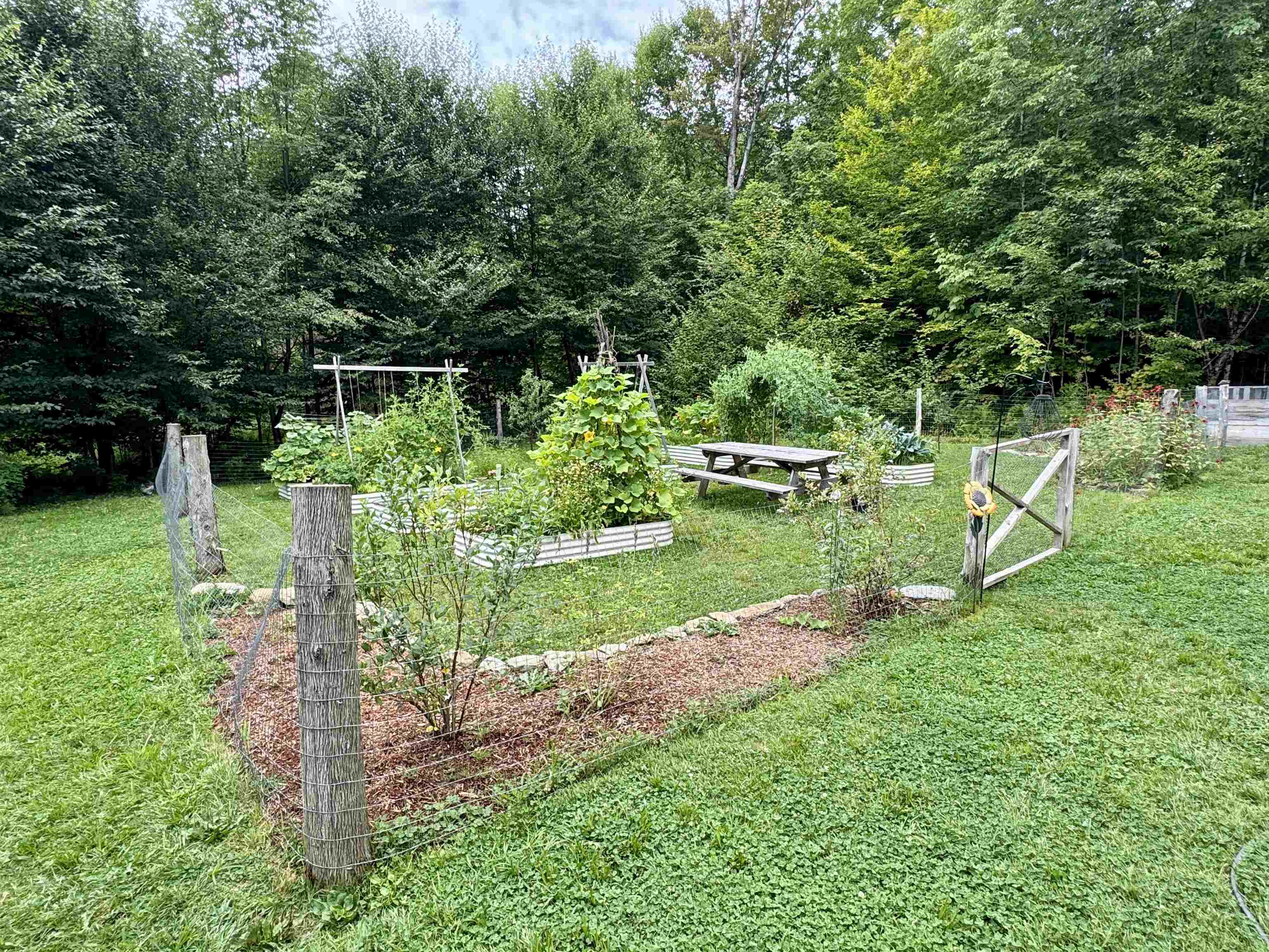 762 Potter Road Lowell, VT 05847 - Photo 30 of 50
