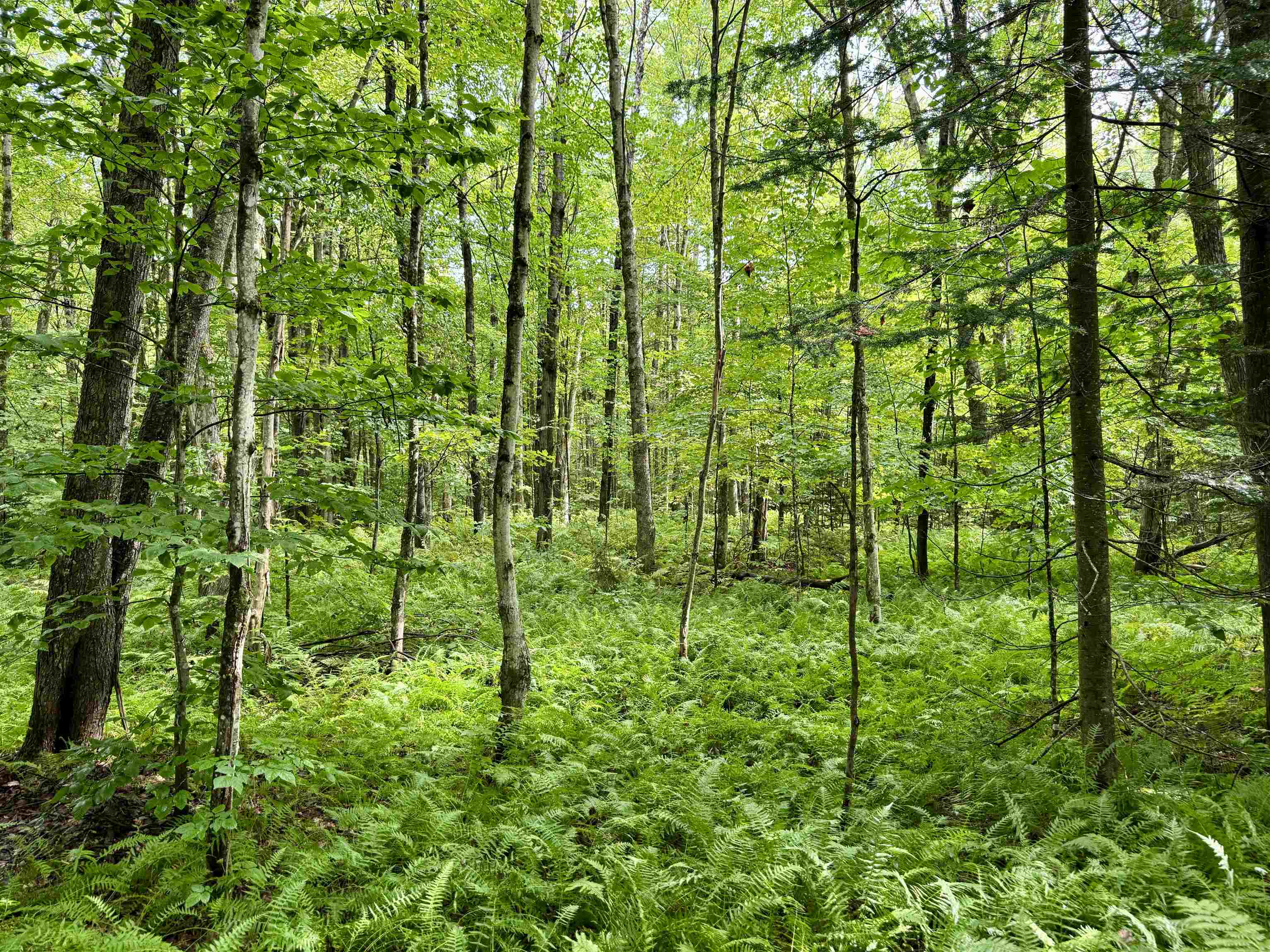 762 Potter Road Lowell, VT 05847 - Photo 40 of 50