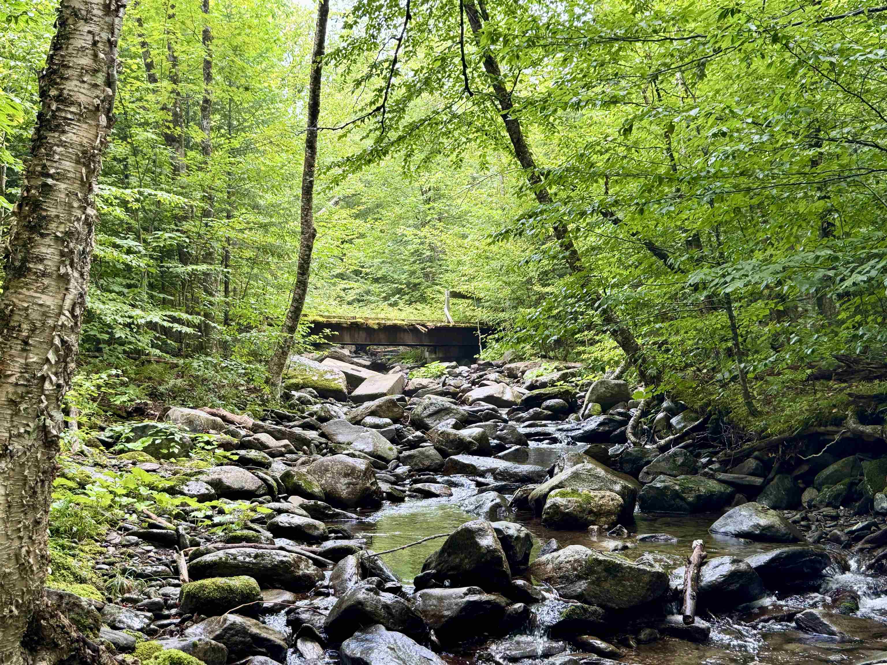 762 Potter Road Lowell, VT 05847 - Photo 7 of 50