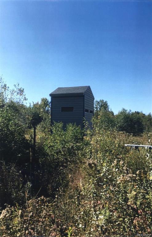 0 Washburn Road Millington, MI 48746 - Photo 6 of 61