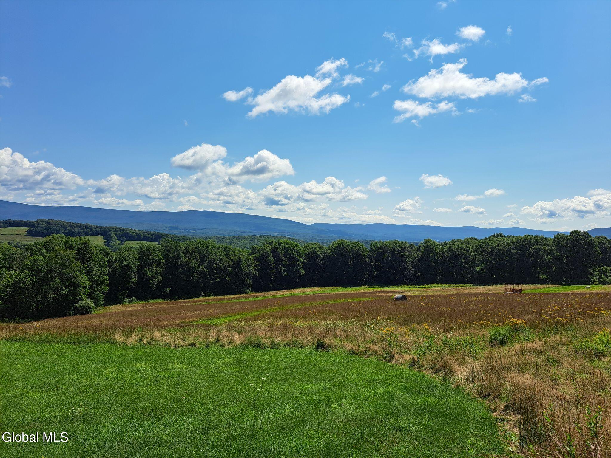9.1 State Line Road White Creek, NY 12057 - Photo 17 of 72 18 Pasture & Greens