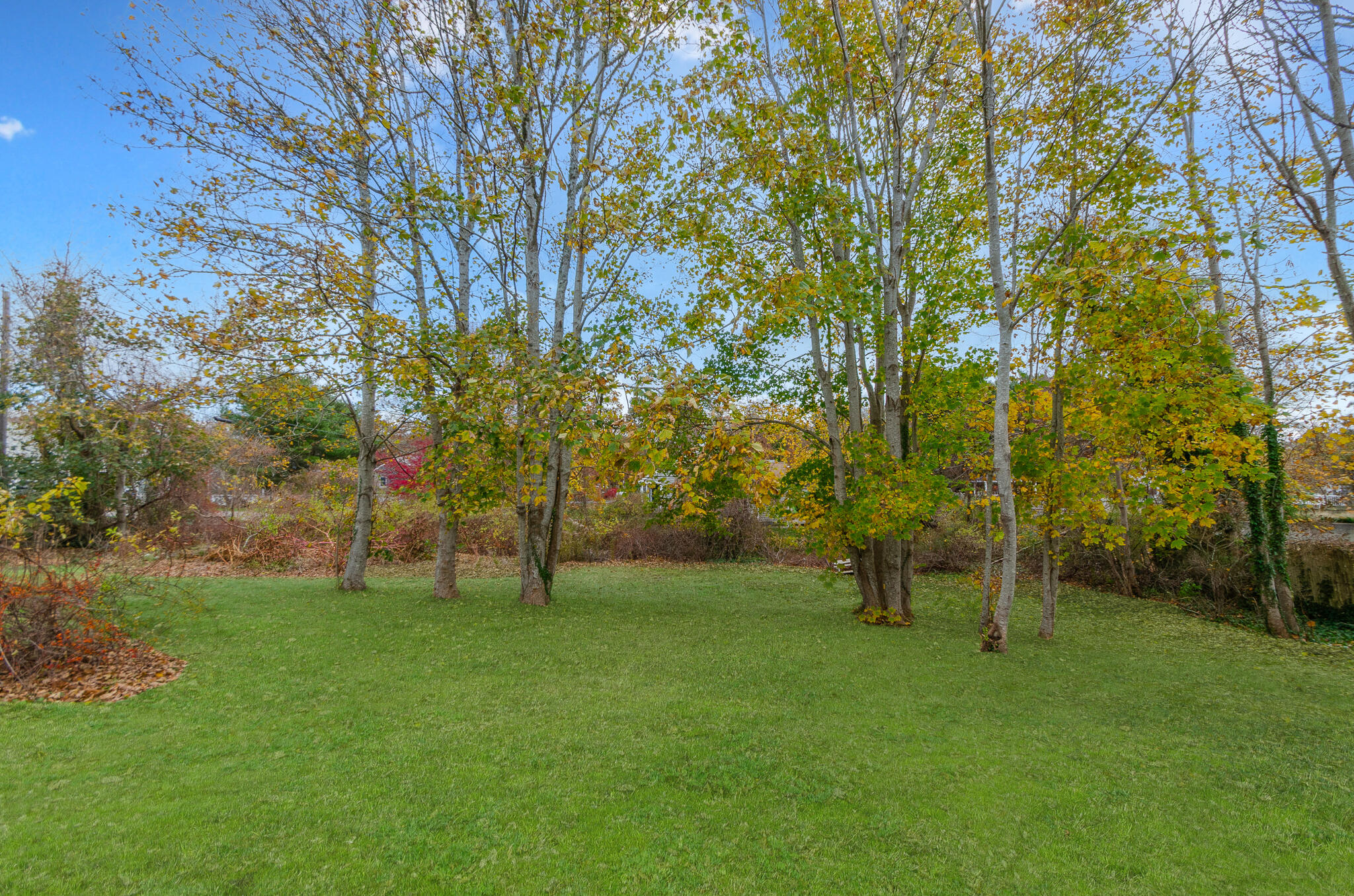 9 Mansion Street West Harwich, MA 02671 - Photo 22 of 26 a view of green field