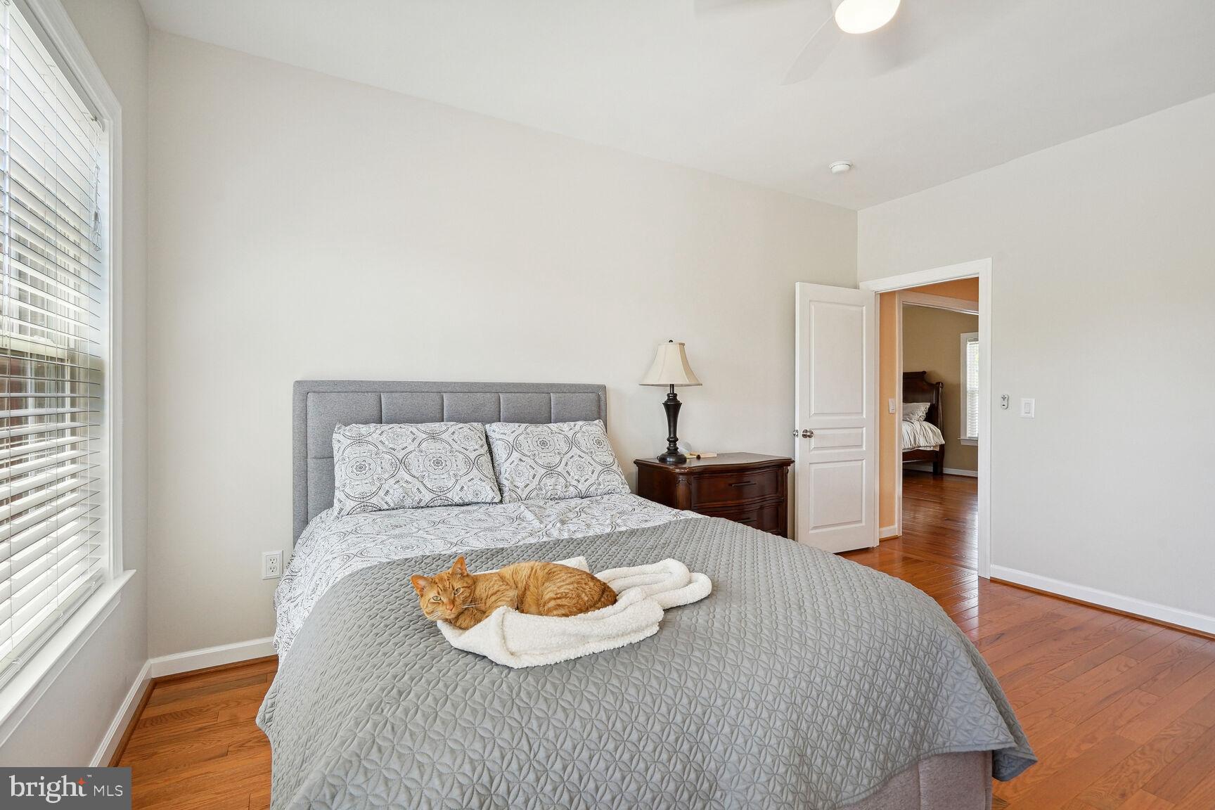 5521 Victory Loop Manassas, VA 20112 - Photo 37 of 54