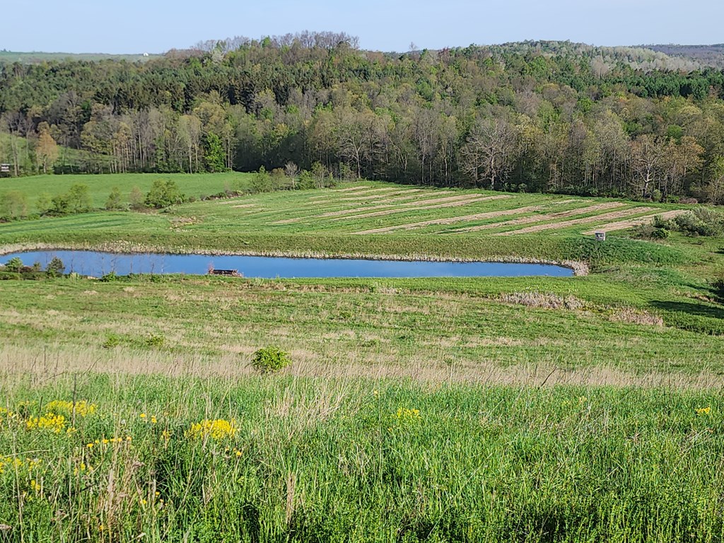 0 Delp Road New Bethlehem, PA 16242 - Photo 4 of 7