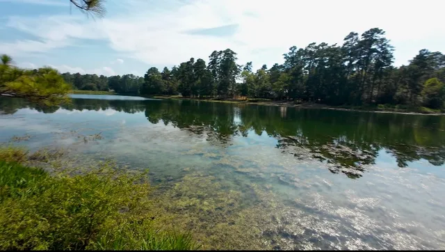 a view of a backyard with a garden