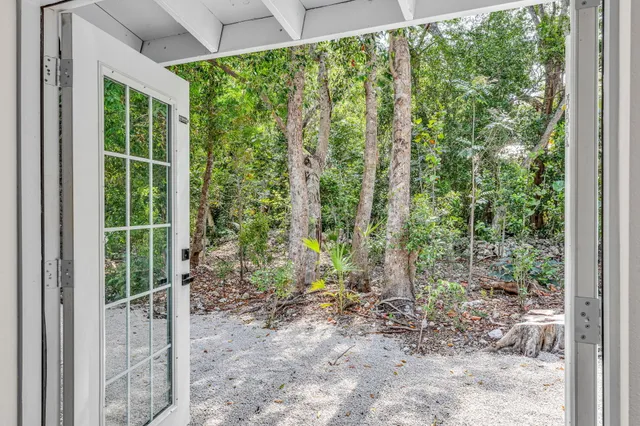 a view of a forest from a window