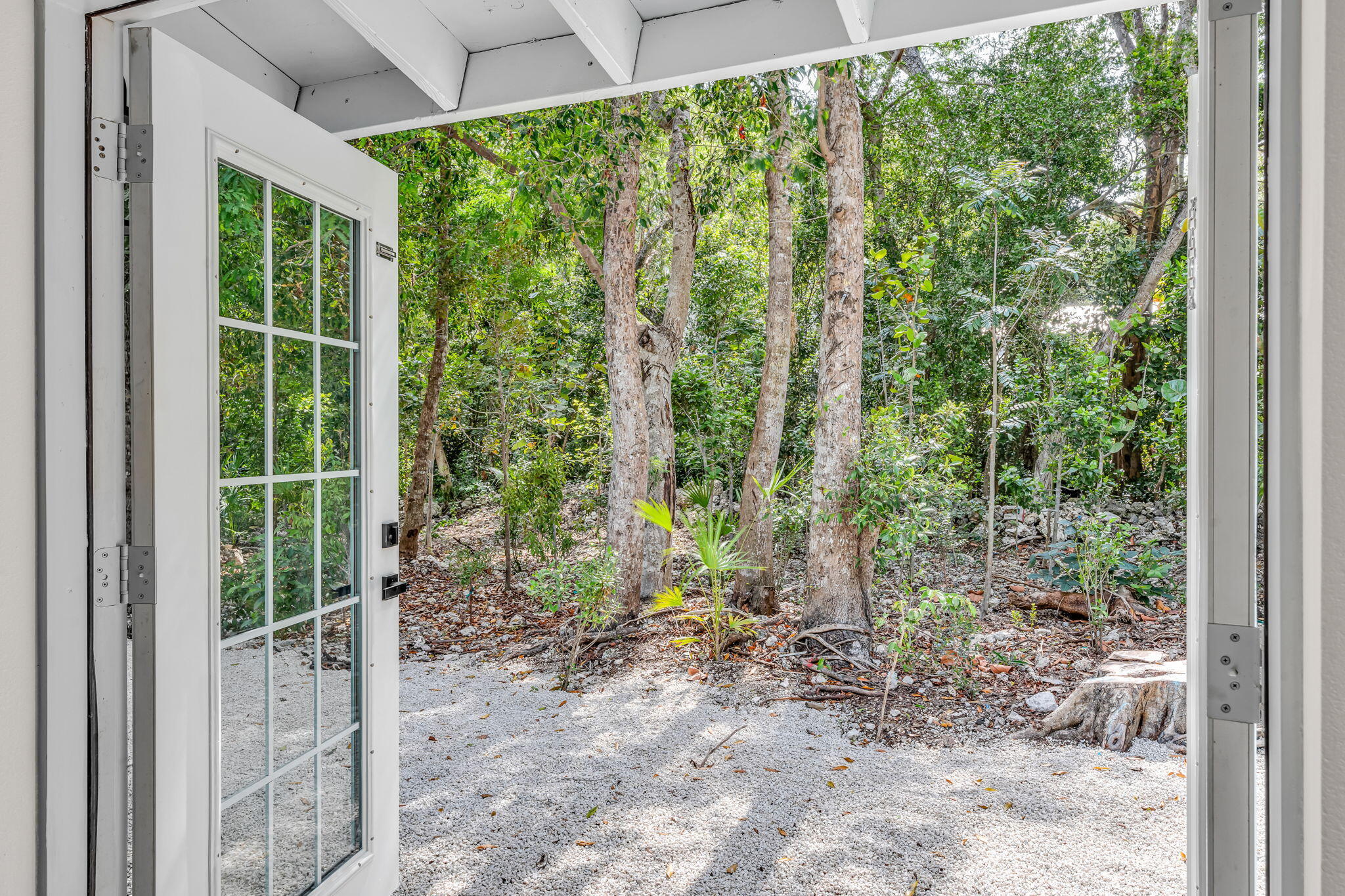 218 Lignumvitae Drive Key Largo, FL 33037 - Photo 24 of 35 a view of a forest from a window
