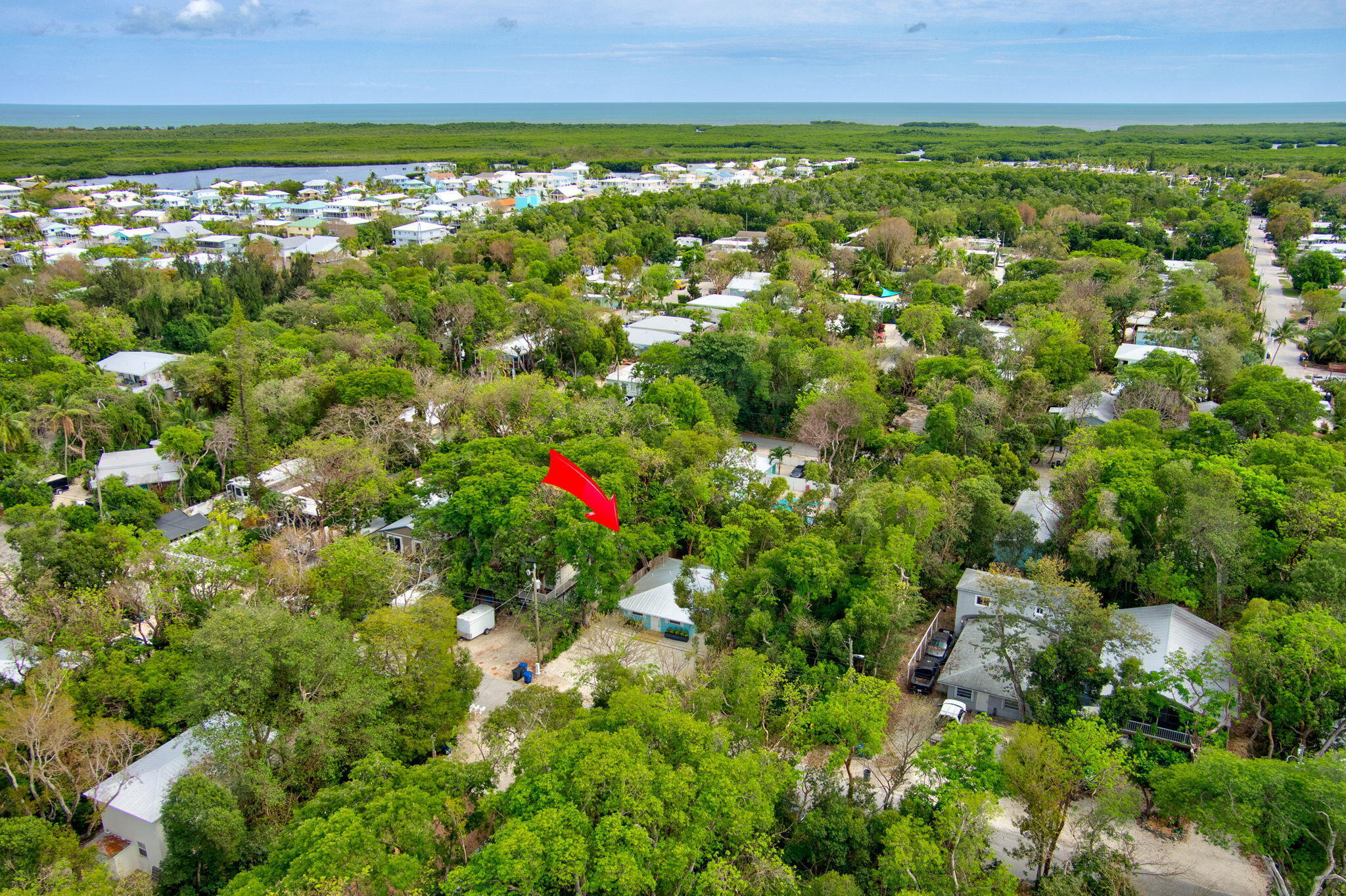 218 Lignumvitae Drive Key Largo, FL 33037 - Photo 31 of 35 a view of a large yard