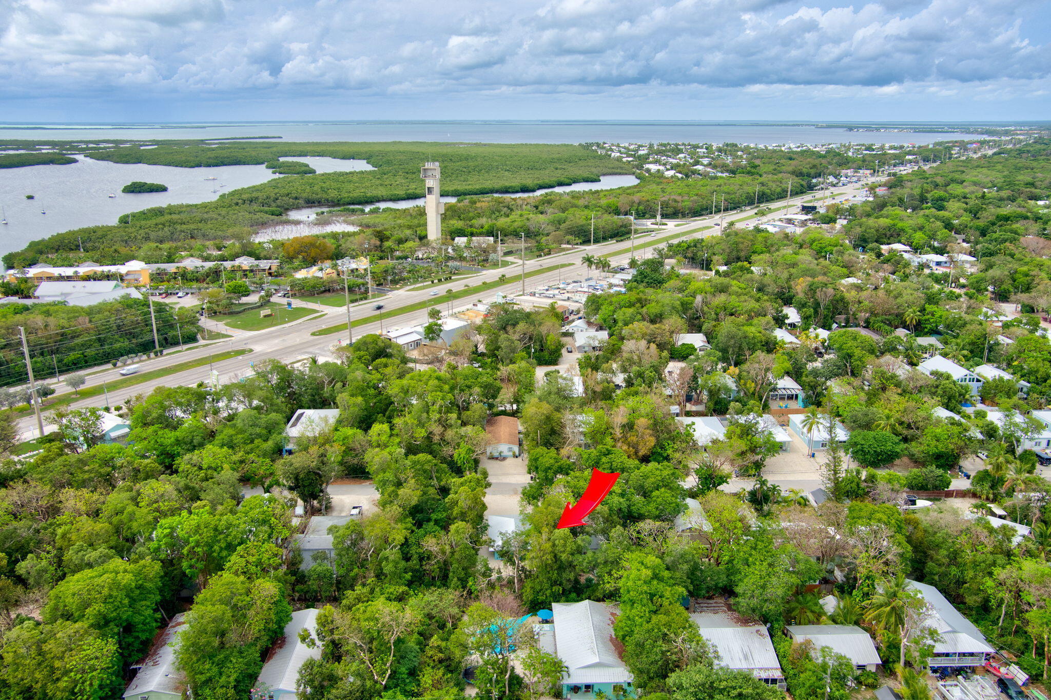 218 Lignumvitae Drive Key Largo, FL 33037 - Photo 34 of 35 a view of a garden with a flower garden